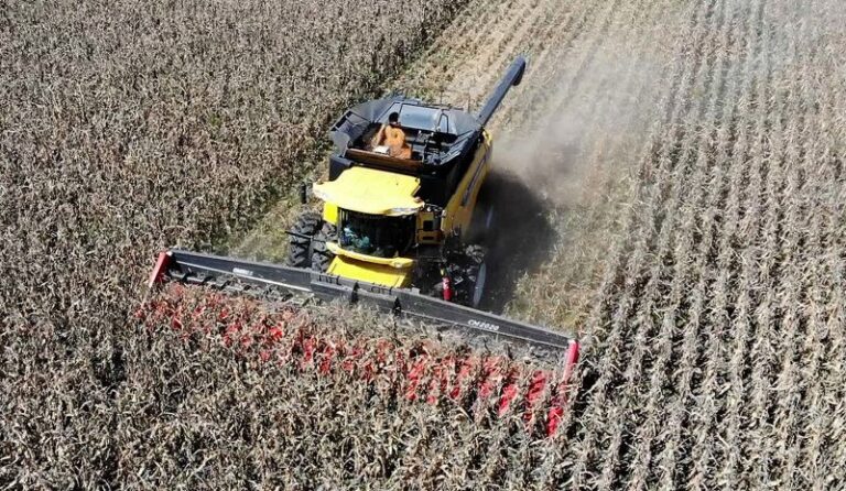 Lee más sobre el artículo Máquinas OMBU, nuevamente en Agronea